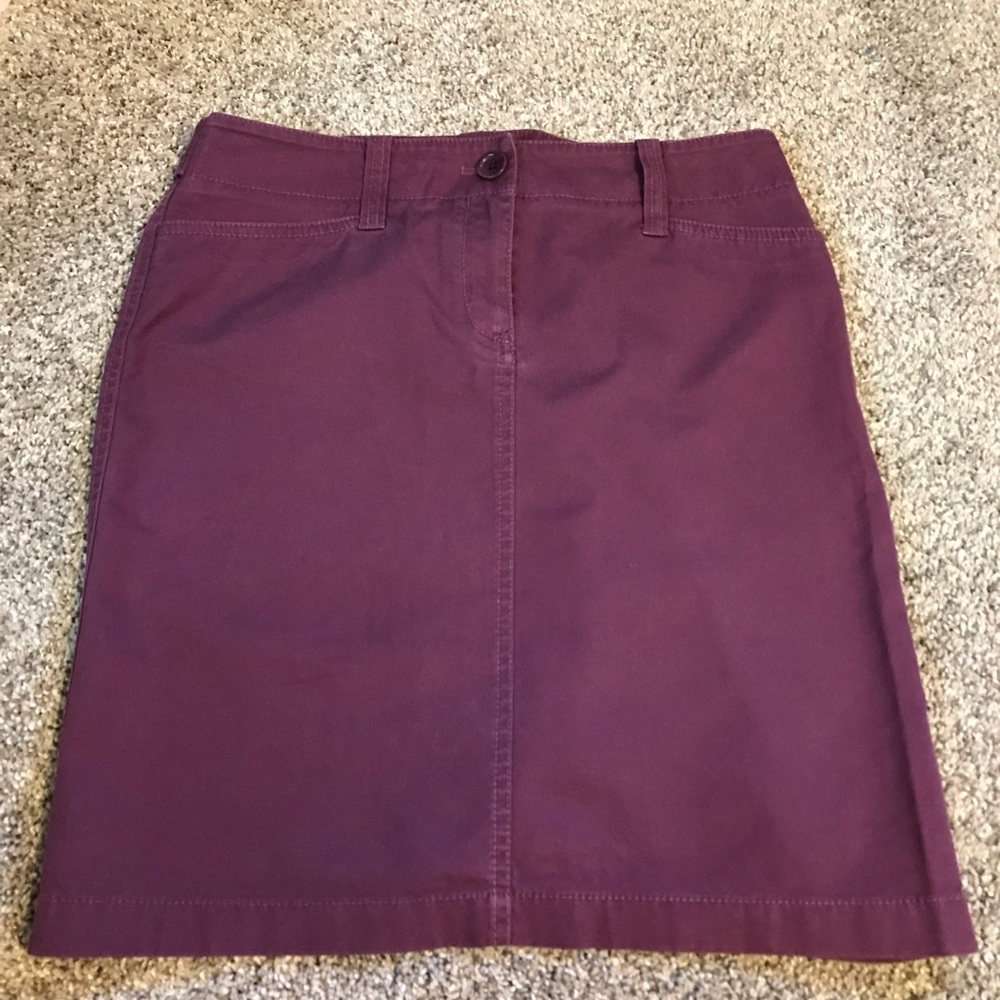 Ann Taylor Skirt
